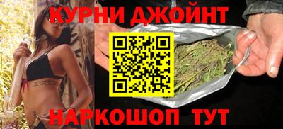 крисы Малгобек