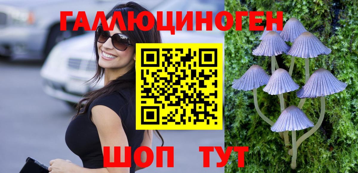Галлюциногенные грибы GOLDEN TEACHER  Вход с VPN  Галлюциногенные грибы Psilocybine cubensis  Холмск 